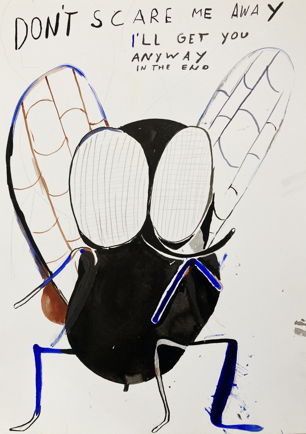 Fly