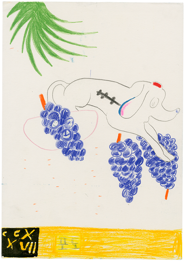 CCXXVII